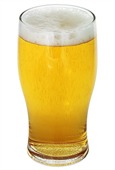 570ml Angus Beer Glass