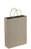 B1A Medium Tall Eco Shopper With Twisted Paper Handle