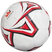Size 5 Pro Soccer Ball