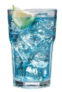 300ml Ascot Polycarbonate Hi Ball Glass