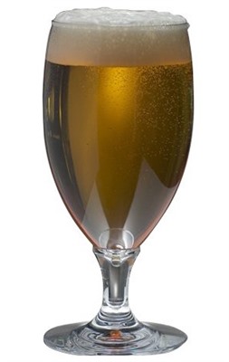 310ml Ale Haus Polycarbonate Beer Glass