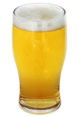 570ml Angus Nucleated Beer Glass