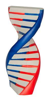 DNA Stress Shape