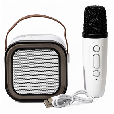 LED Portable Karaoke Machine