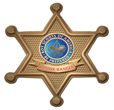 Phoenix Sheriff Button Badge