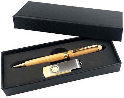 Premium Bamboo Pen & USB Gift Set