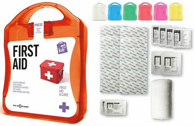 Standard First Aid Case