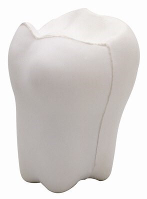 Tooth Shaped Stress Toy