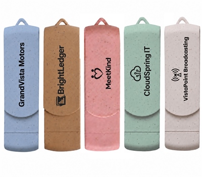 Wheat Straw Type-C USB Drive