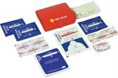 29 Piece Mini First Aid Kit