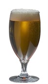 310ml Ale Haus Polycarbonate Beer Glass