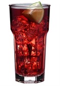 355ml Ascot Polycarbonate Hi Ball Glass
