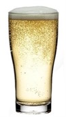 425ml Angus Polycarbonate Beer Glass