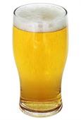 570ml Angus Nucleated Beer Glass