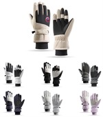 Alpine Ski Gloves