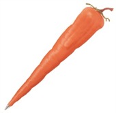 Carrot Shaped Pen