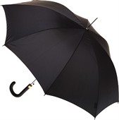 Clouden Auto Open Walking Umbrella