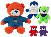 Cuddles The Coloured Bear Plush Toy