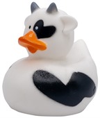 Mini Cow Duck