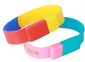 Sectional Coloured Wristband Flash Drive