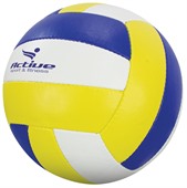 Size 5 Pro Volleyball