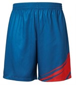 Unisex Micro Mesh Polyester Soccer Shorts